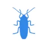 Уничтожение тараканов в Истре